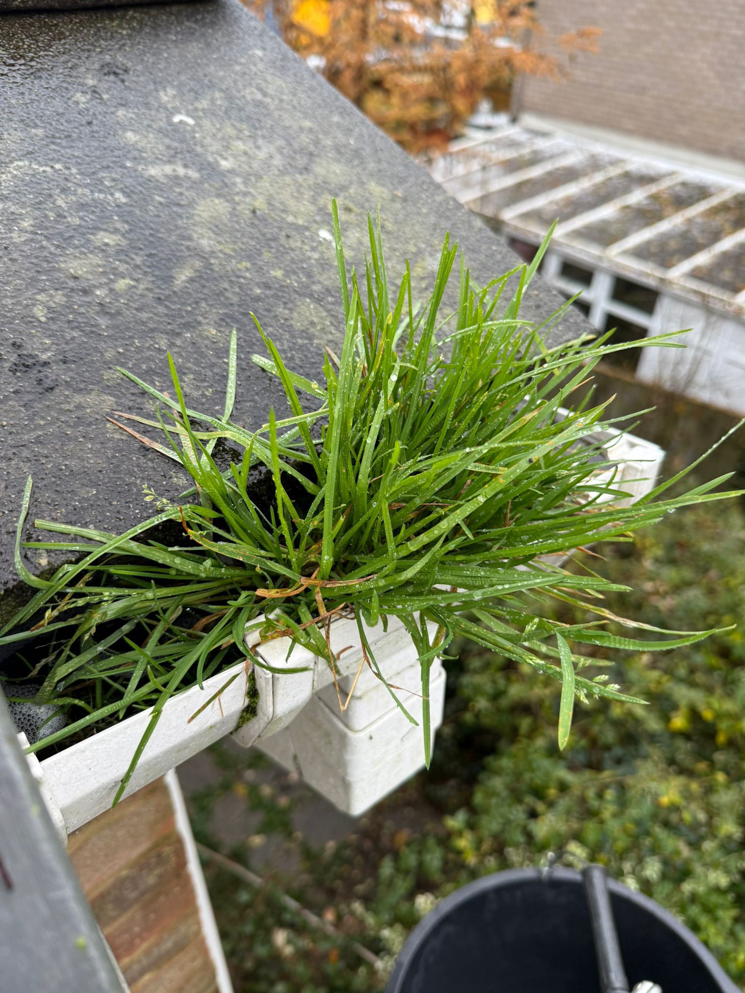Blocked gutter downpipe in Leighton Buzzard